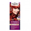 Palette barva na vlasy Intensive Color Creme RV6 (7-887)