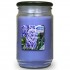 CANDLE-LITE USA Vonná Svíčka Modrý hyacint 566g